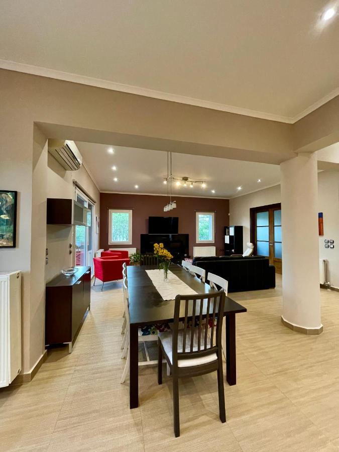 Apollon Paian , Luxury Nature Relax Lefkada City Exterior photo